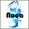 Noca